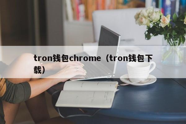 tron钱包chrome（tron钱包下载）